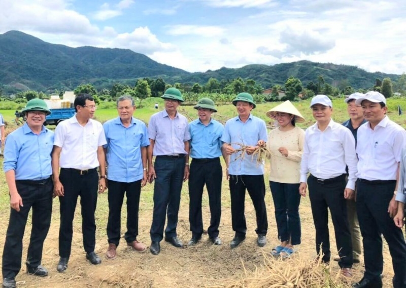 Lãnh đạo tỉnh, các sở, ban ngành tỉnh Thừa Thiên Huế kiểm tra công tác trồng cây dược liệu tại huyện A Lưới.