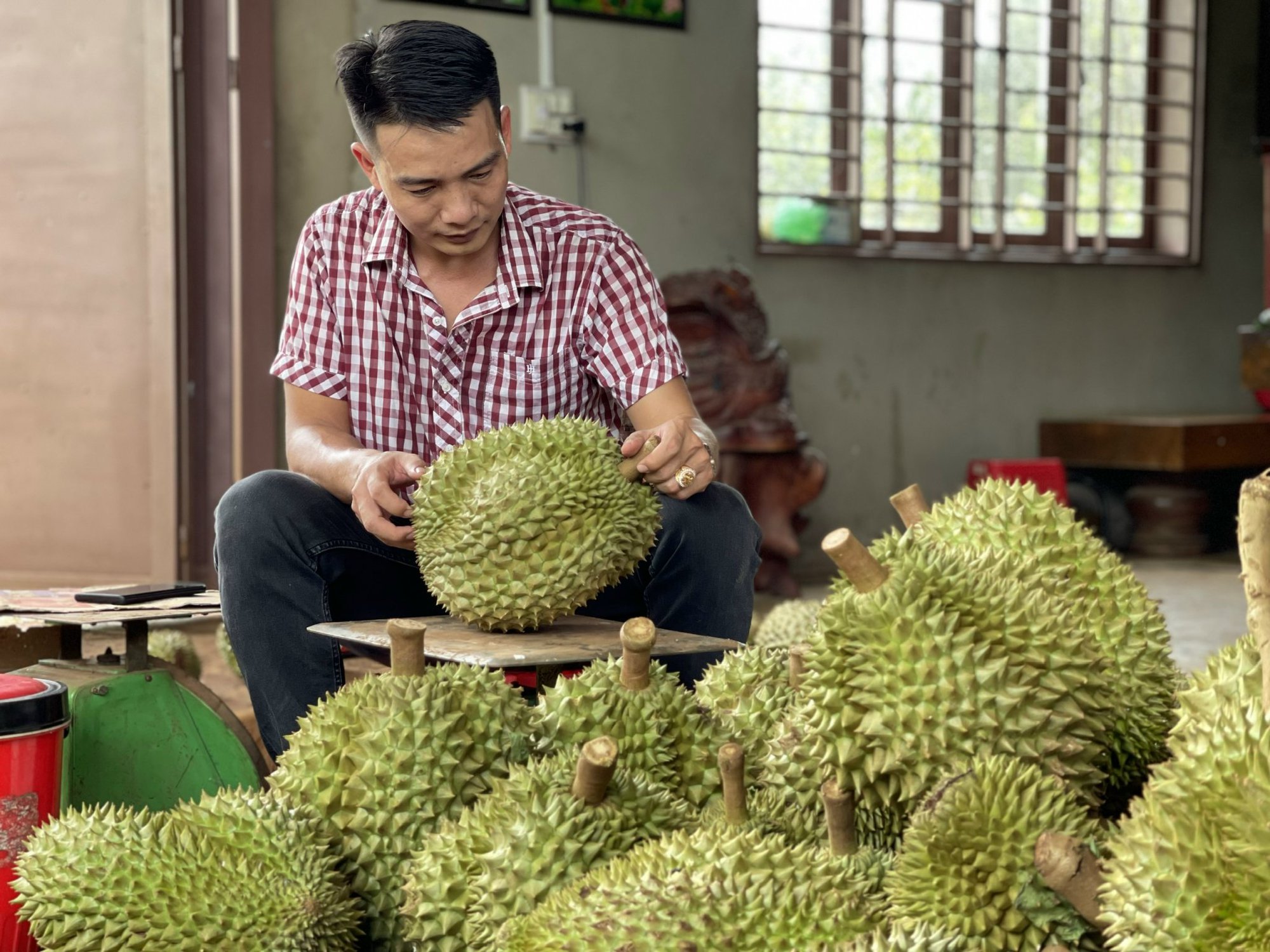 Tọa đàm đẩy mạnh xuất khẩu sầu riêng: Cần quan tâm đến chất lượng, nâng cao năng lực cho người làm ra trái sầu riêng- Ảnh 6.