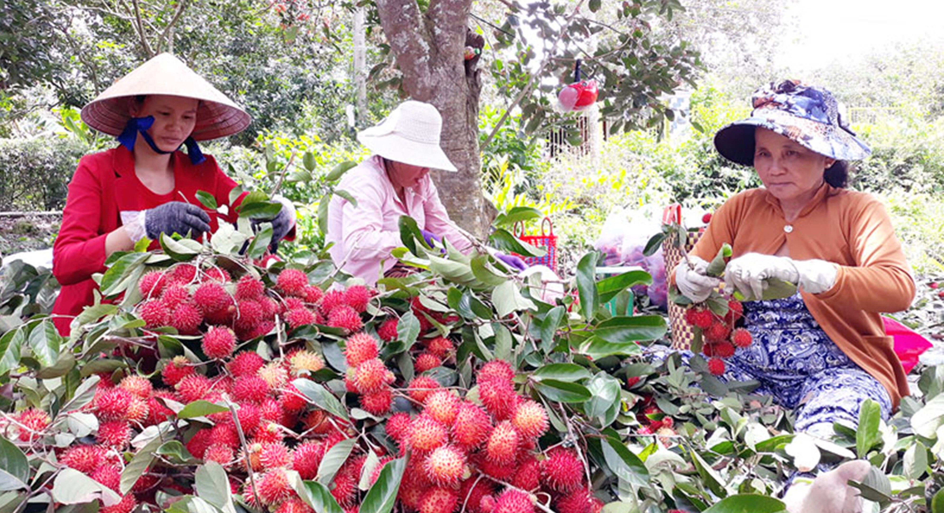 “Để khởi nghiệp thành công, 
cần kiên trì với con đường mình đã chọn”- Ảnh 1.