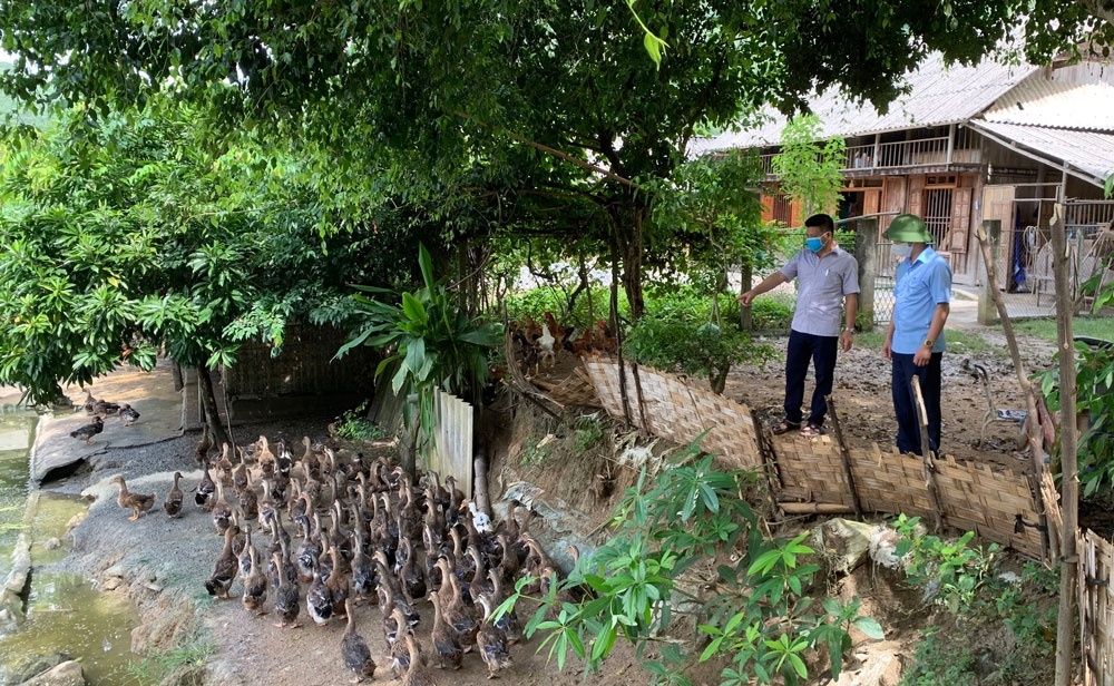 Trên địa bàn vùng DTTS và miền núi huyện Định Hóa xuất hiện ngày càng nhiều các mô hình kinh tế hiệu quả