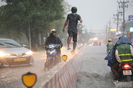 ຊື້ ngap tphcm hoang giam 1659.jpeg