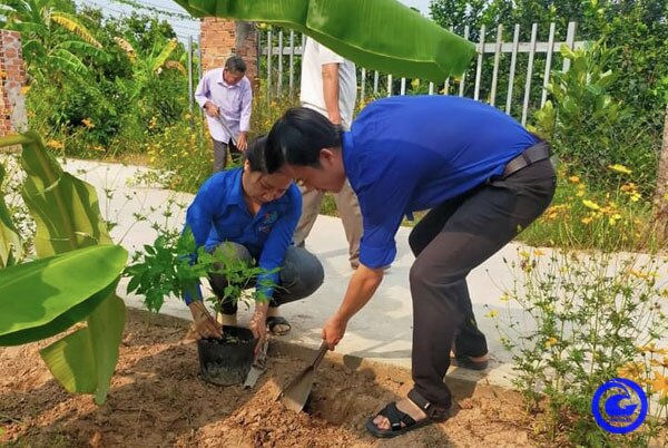 Đường hoa, trồng cây cảnh, hoa treo đẹp như phim ở một xã nông thôn mới kiểu mẫu tỉnh Tiền Giang- Ảnh 1.