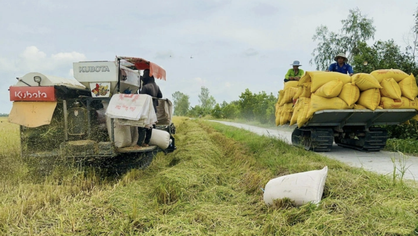 Ứng dụng công nghệ là một trong những yếu tố then chốt để phát triển nông nghiệp xanh - Ảnh: ĐẶNG TUYẾT