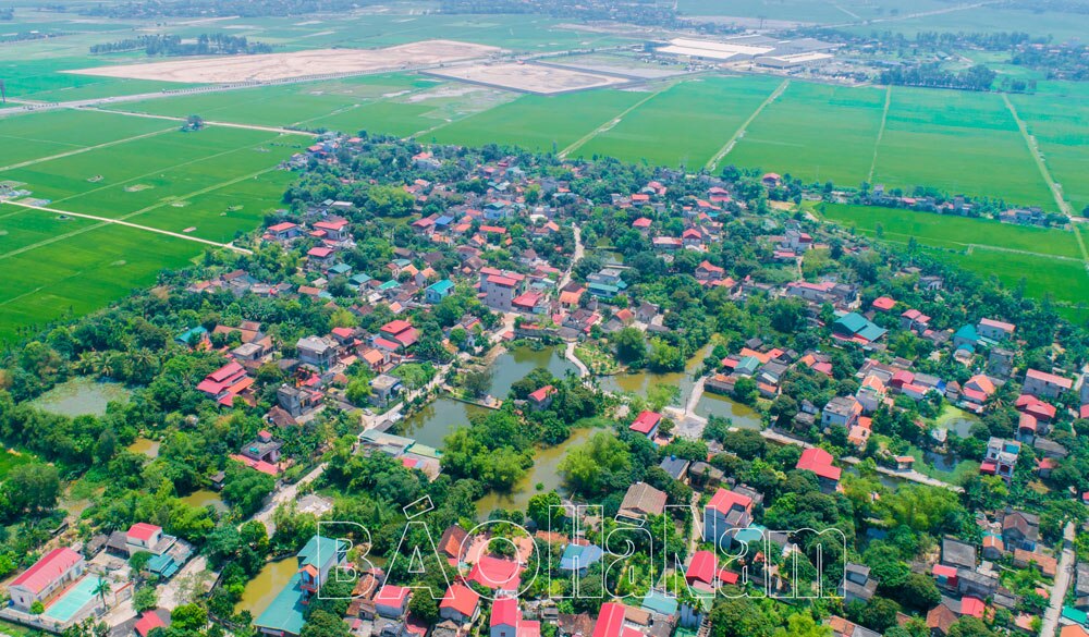 Làng cổ ở Hà Nam đẹp như phim, từ đường Nguyễn Khuyến là nhà cổ, bia đá khắc bài thơ nổi tiếng- Ảnh 1.