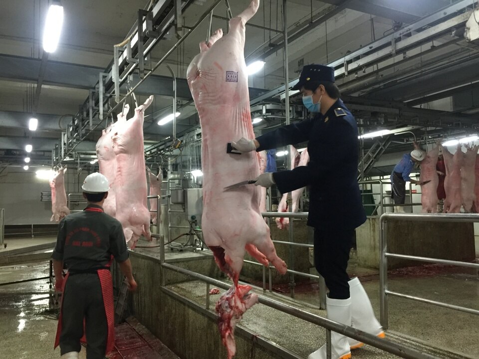 Los productos de origen animal se controlan antes de salir al mercado para garantizar la seguridad alimentaria.