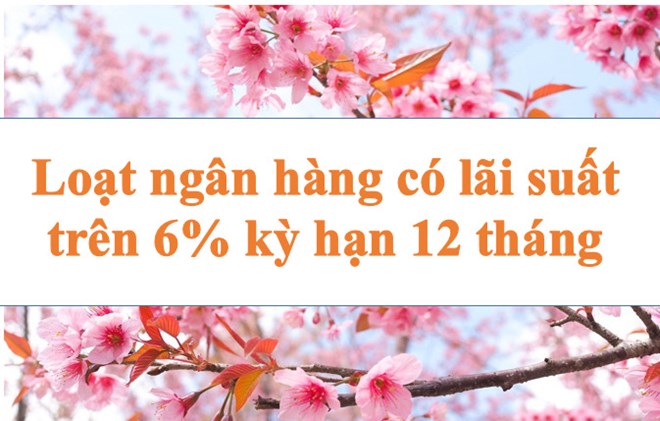 Lãi suất ngân hàng hôm nay 27.7: Loạt mốc trên 6% kỳ hạn 12 tháng