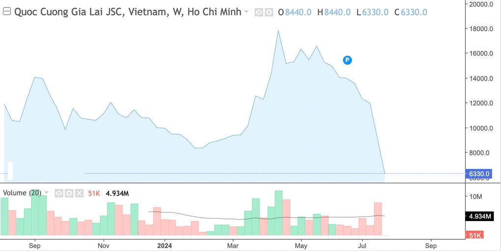 Mất 35% tiền đầu tư vì kẹp hàng cổ phiếu Quốc Cường Gia Lai - 1