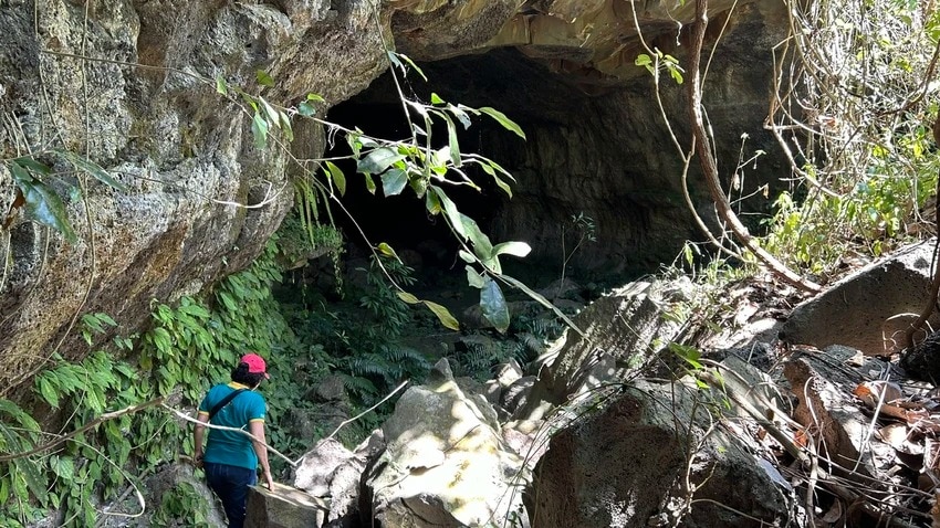 Một hang đá hut hút ở Đắk Nông chứa di cốt người tiền sử cổ xưa, xuất lộ hiện vật cổ lạ mắt- Ảnh 1.