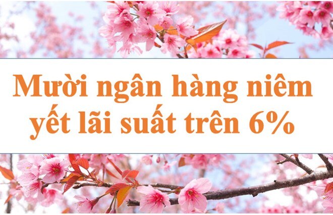 Lãi suất ngân hàng hôm nay 2.7: Mười ngân hàng niêm yết lãi suất trên 6%