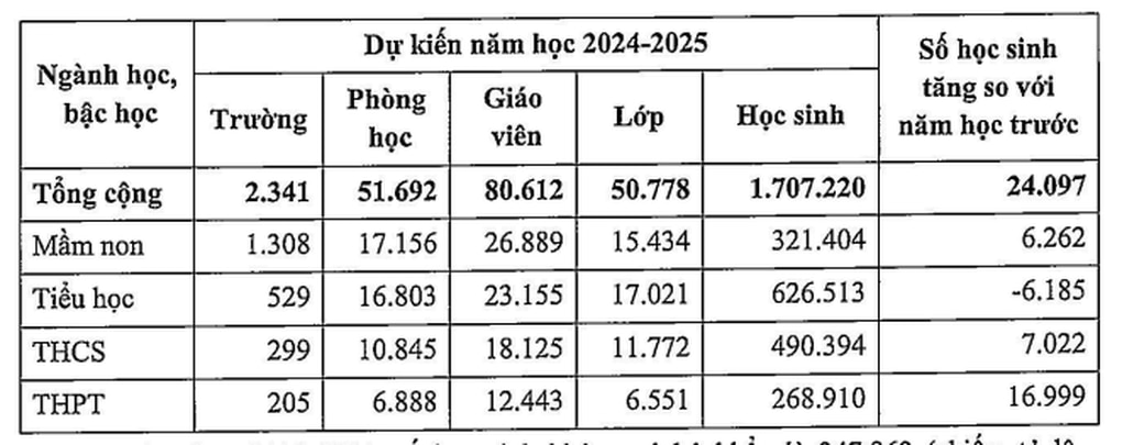 Năm học tới, TPHCM tăng hơn 24.000 học sinh - 2