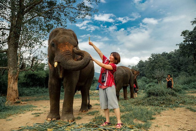 Nên chơi gì ở Chiang Mai, Thái Lan?- Ảnh 1.