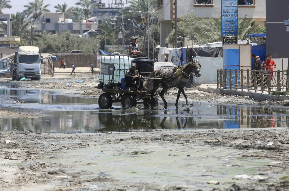 Phát hiện virus gây bệnh bại liệt trong các mẫu nước thải ở Gaza. Ảnh: Guardian