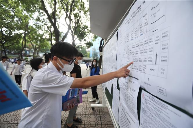 Những sai lầm khiến thí sinh trúng tuyển đại học sớm trượt oan- Ảnh 1.