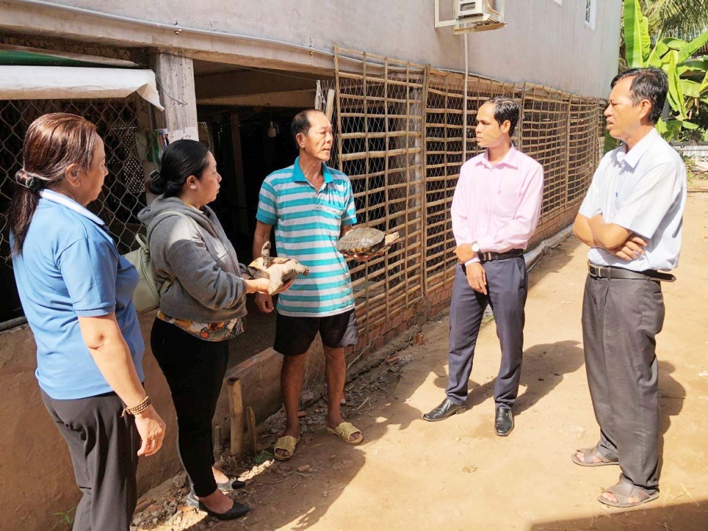 Nuôi rùa răng, loài động vật hoang dã nhờ vốn từ Ngân hàng CSXH, nông dân An Giang khá giả- Ảnh 2.