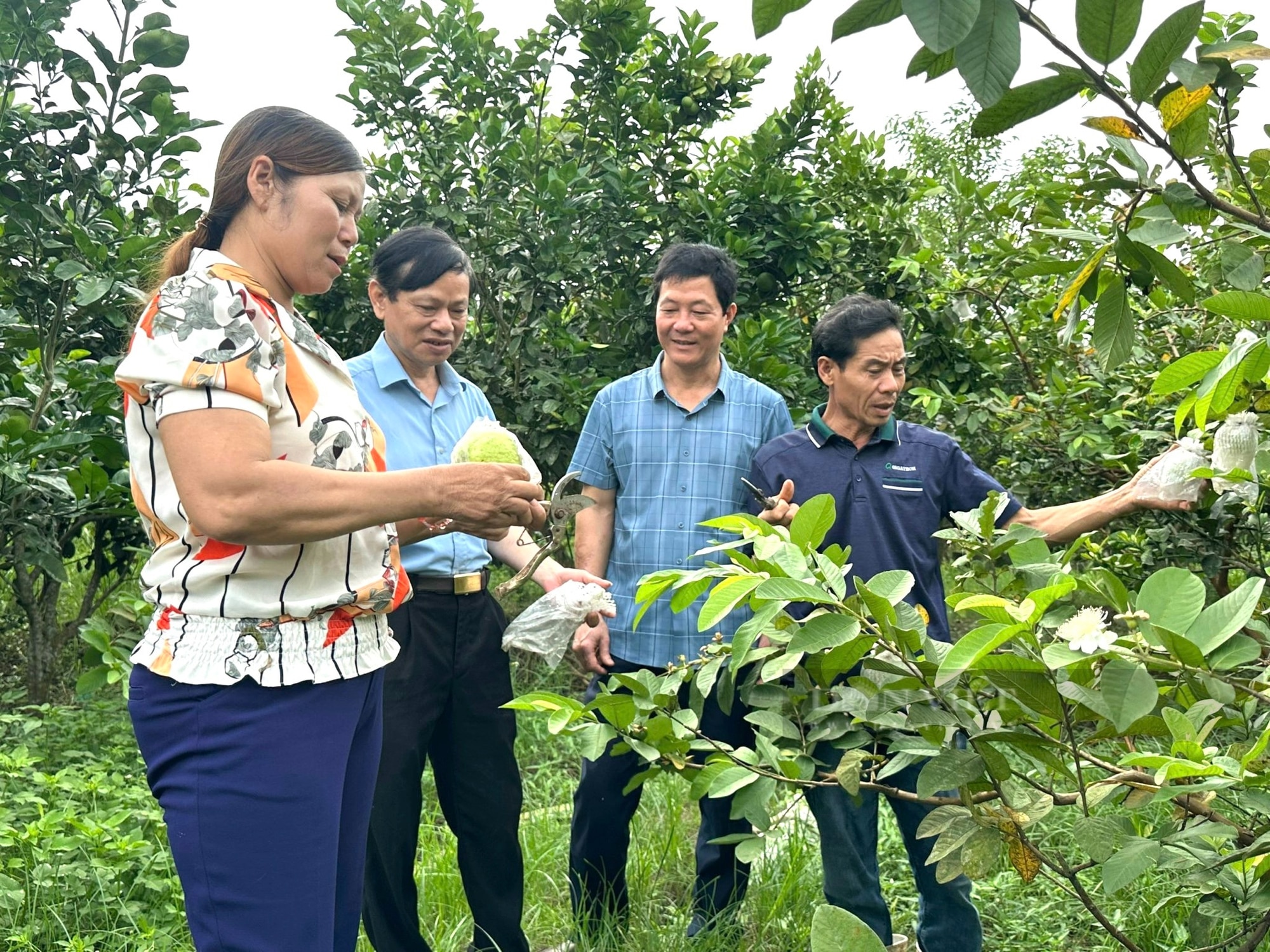 Ở một huyện của Thanh Hóa xuất hiện nhiều tỷ phú nông dân, có hộ nuôi chim gì mà thu 1 tỷ?- Ảnh 2.