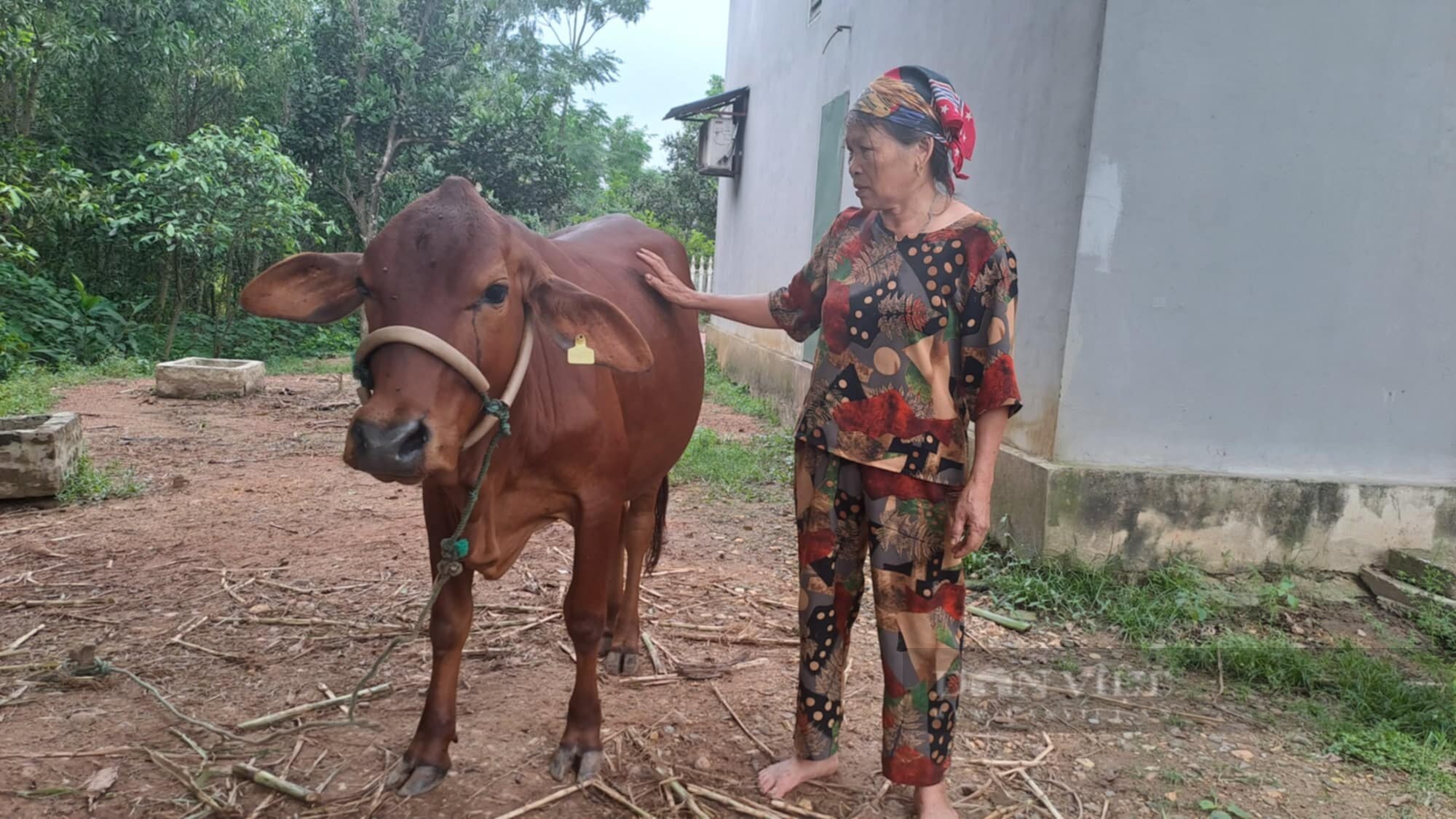 Thái Nguyên: TP Sông Công phân bổ hơn 1,7 tỷ đồng hỗ trợ giảm nghèo, phát triển sản xuất- Ảnh 1.