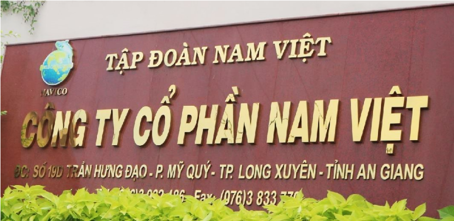 Thủy sản Nam Việt dự kiến tăng vốn điều lệ gấp đôi, đạt 2.666,7 tỷ đồng, lãi quý II ước tăng vọt- Ảnh 2.