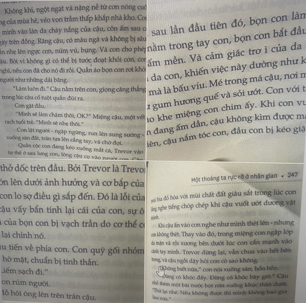 Trường quốc tế phát hành sách có nội dung nhạy cảm, khiêu dâm cho học sinh- Ảnh 1.