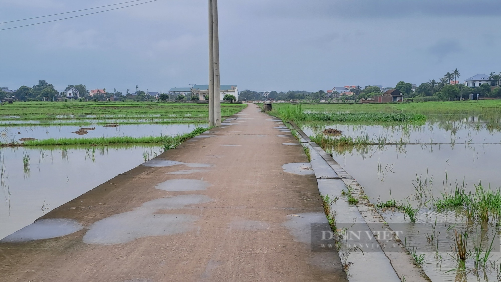 Xã đầu tiên xây dựng nông thôn mới kiểu mẫu của Phú Bình, tỉnh Thái Nguyên- Ảnh 1.