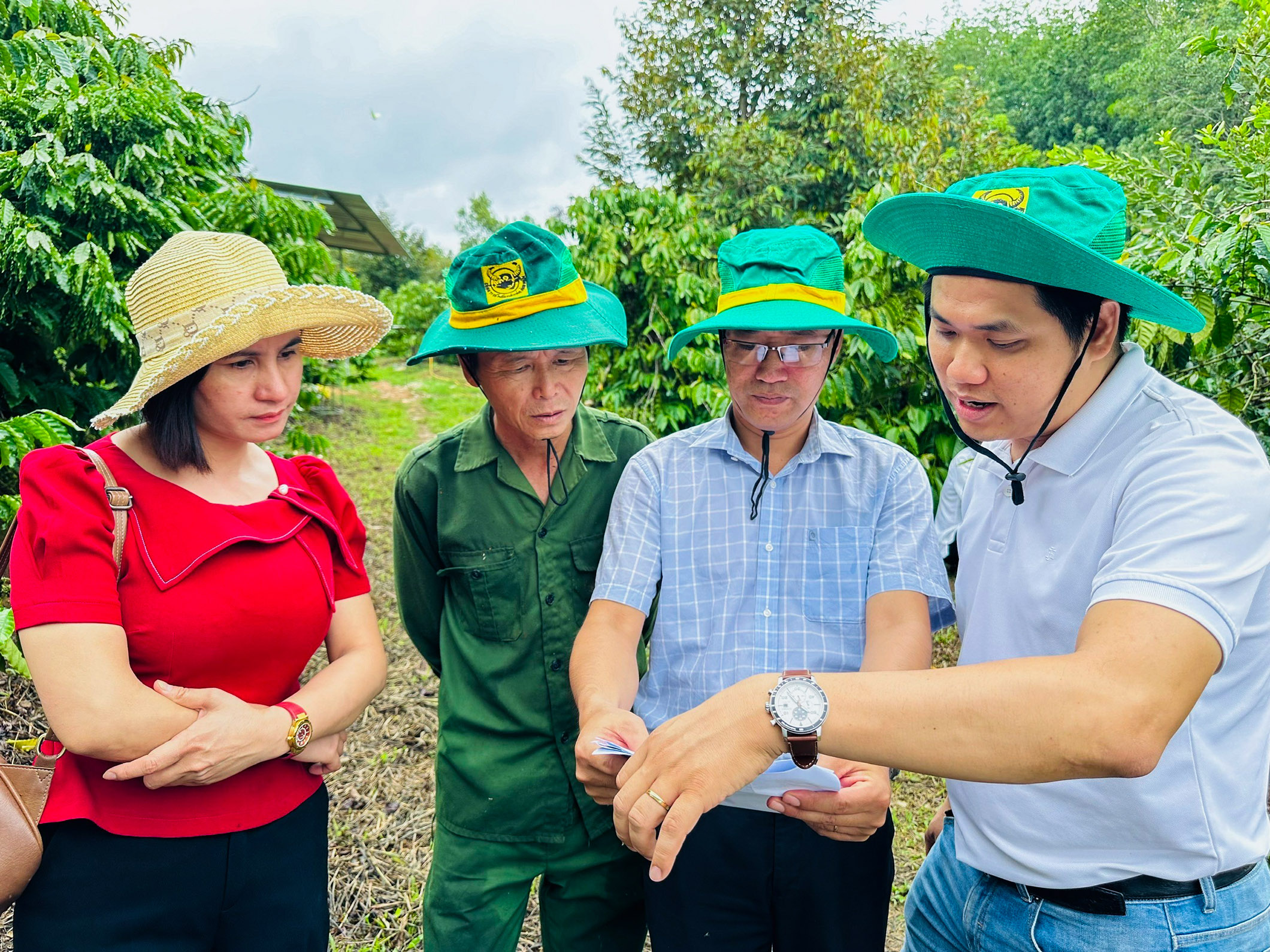 Có tổ khuyến nông cộng đồng tư vấn, 600ha cà phê của một HTX ở Kon Tum được doanh nghiệp bao tiêu hết- Ảnh 2.