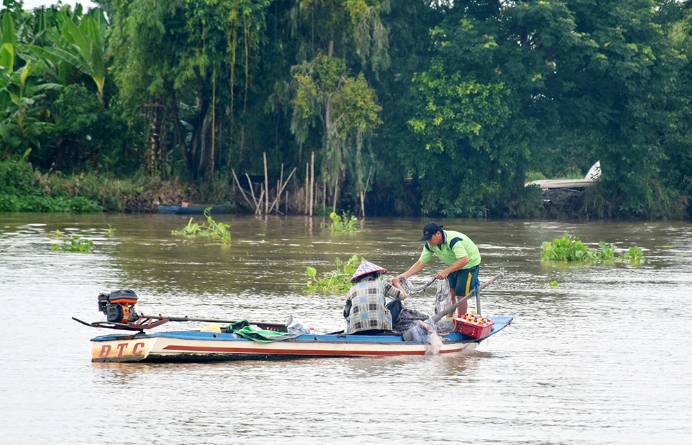 Mùa nước nổi An Giang, dưới sông 