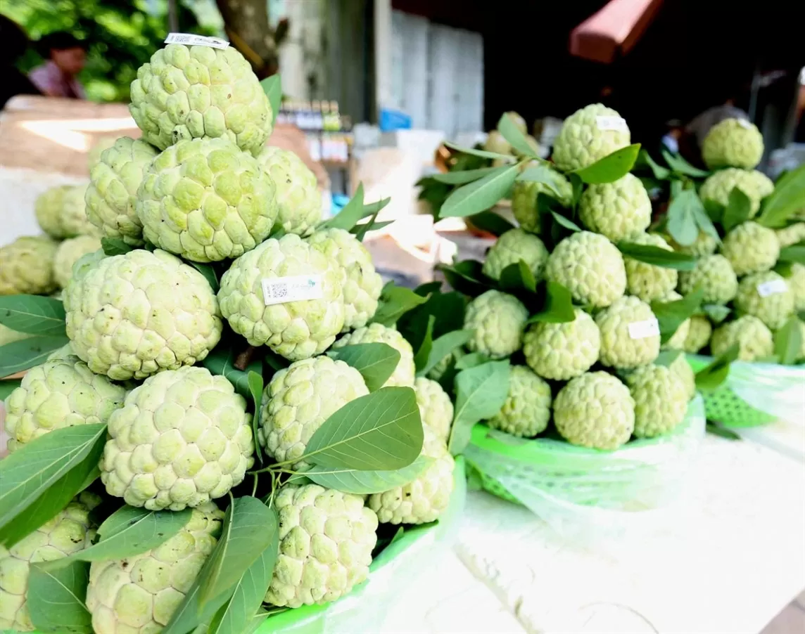 Giá nông sản hôm nay ngày 3/8/2024: