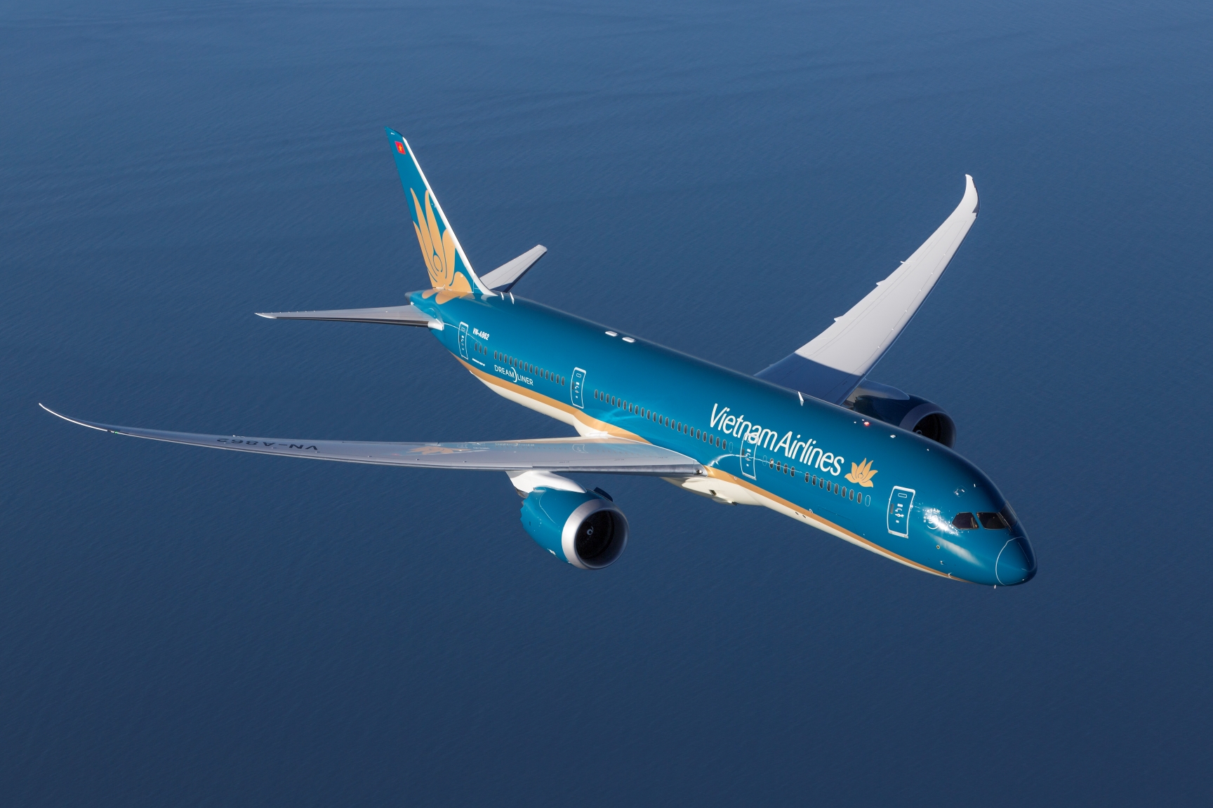 Vietnam Airlines hỗ trợ khẩn cấp hành khách gặp vấn đề sức khoẻ trên máy bay- Ảnh 2.