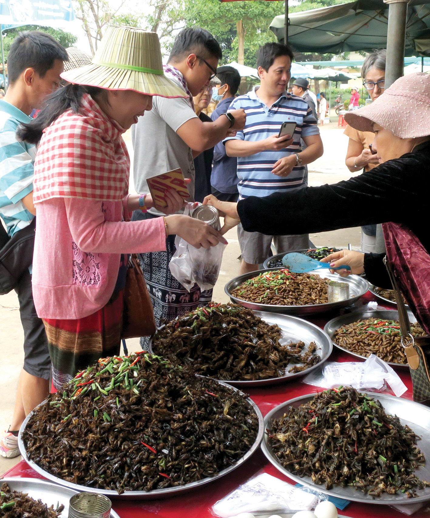 Món côn trùng, bếp núc ngày càng sáng tạo - Ảnh 6.