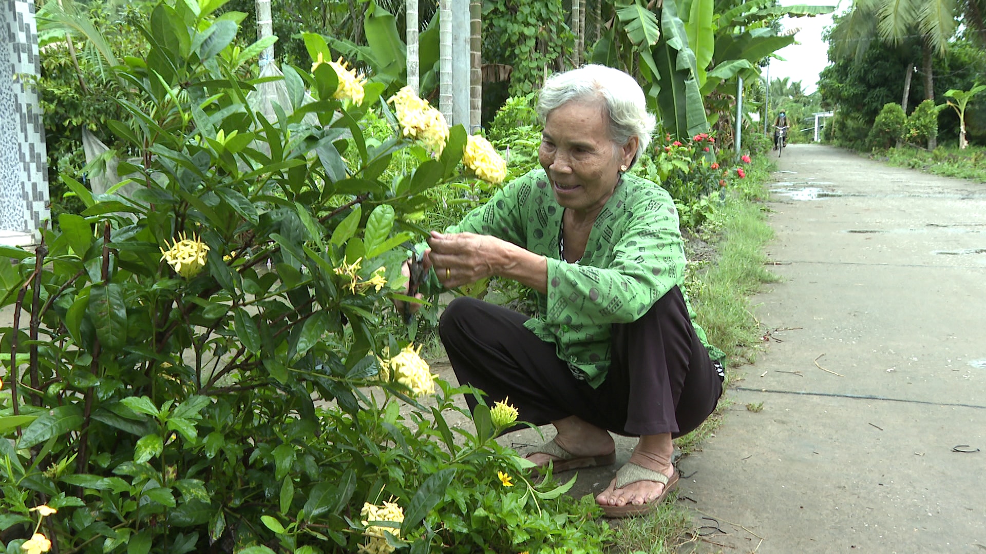 Đường hoa nông thôn mới ở một huyện của Sóc Trăng đẹp như phim, dân tình tha hồ chụp hình- Ảnh 2.