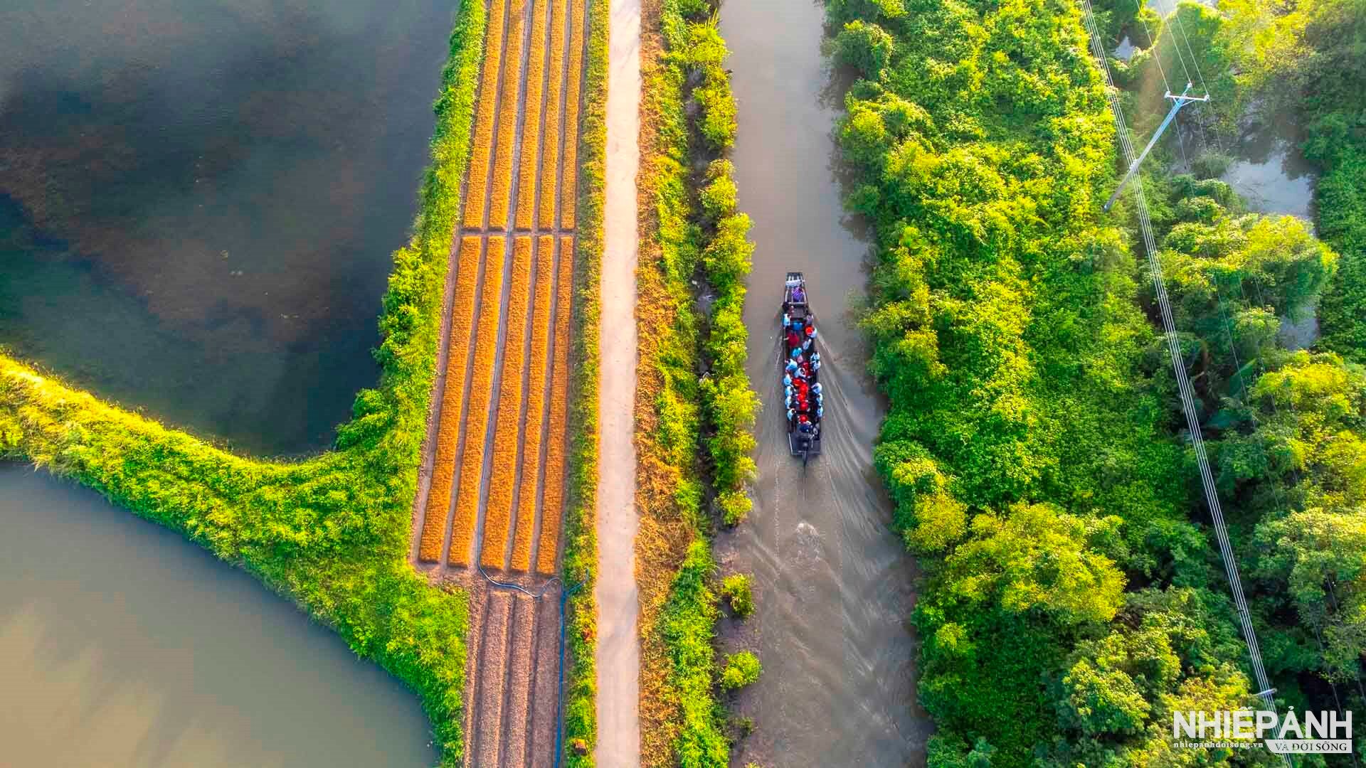 W_giai-nhat-dam-cuoi-miet-vuon-do-minh-chaurs.jpg