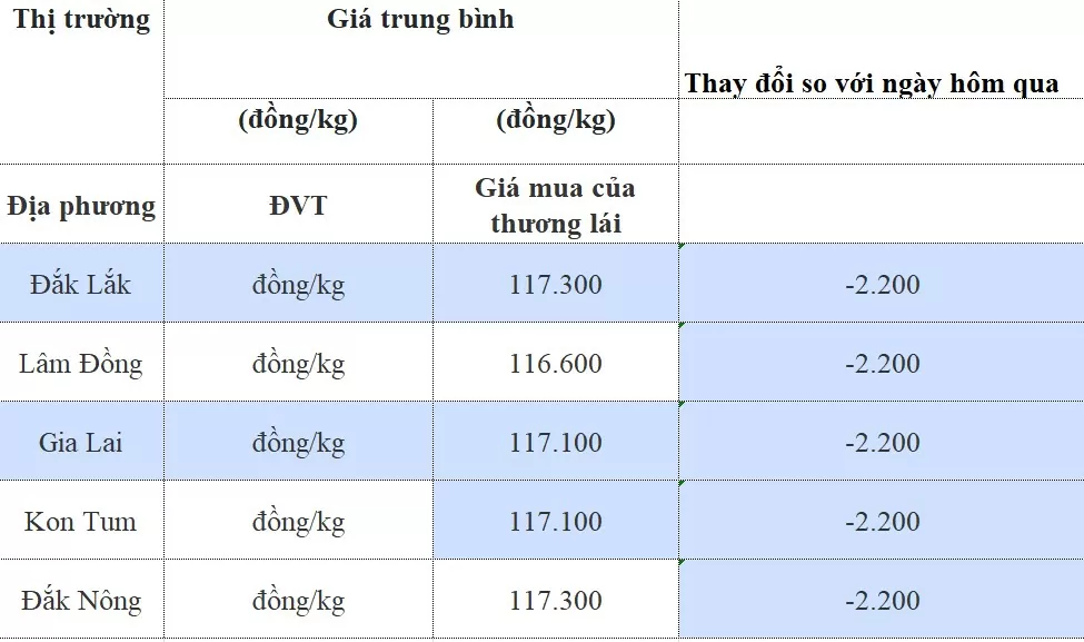 Giá cà phê hôm nay 15/8/2024: Trong nước giảm mạnh, rơi mất 2.200 đồng/kg