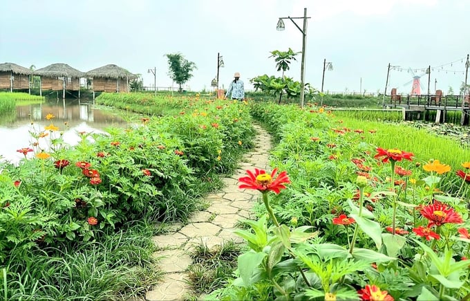 Sản phẩm nông sản của HTX thu hoạch không đủ phục vụ kinh doanh dịch vụ du lịch sinh thái. Ảnh: Thanh Nga.