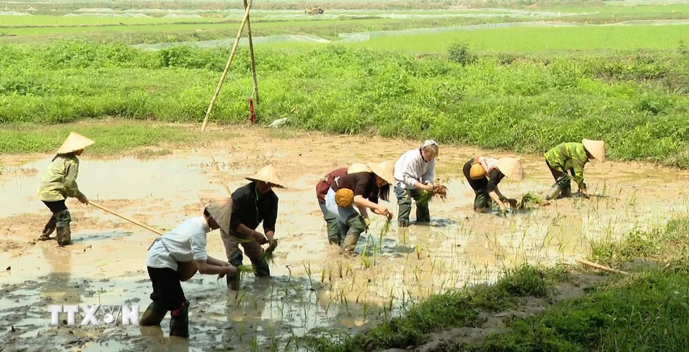 ttxvn du lich Ninh Binh - Muong tour2.jpg