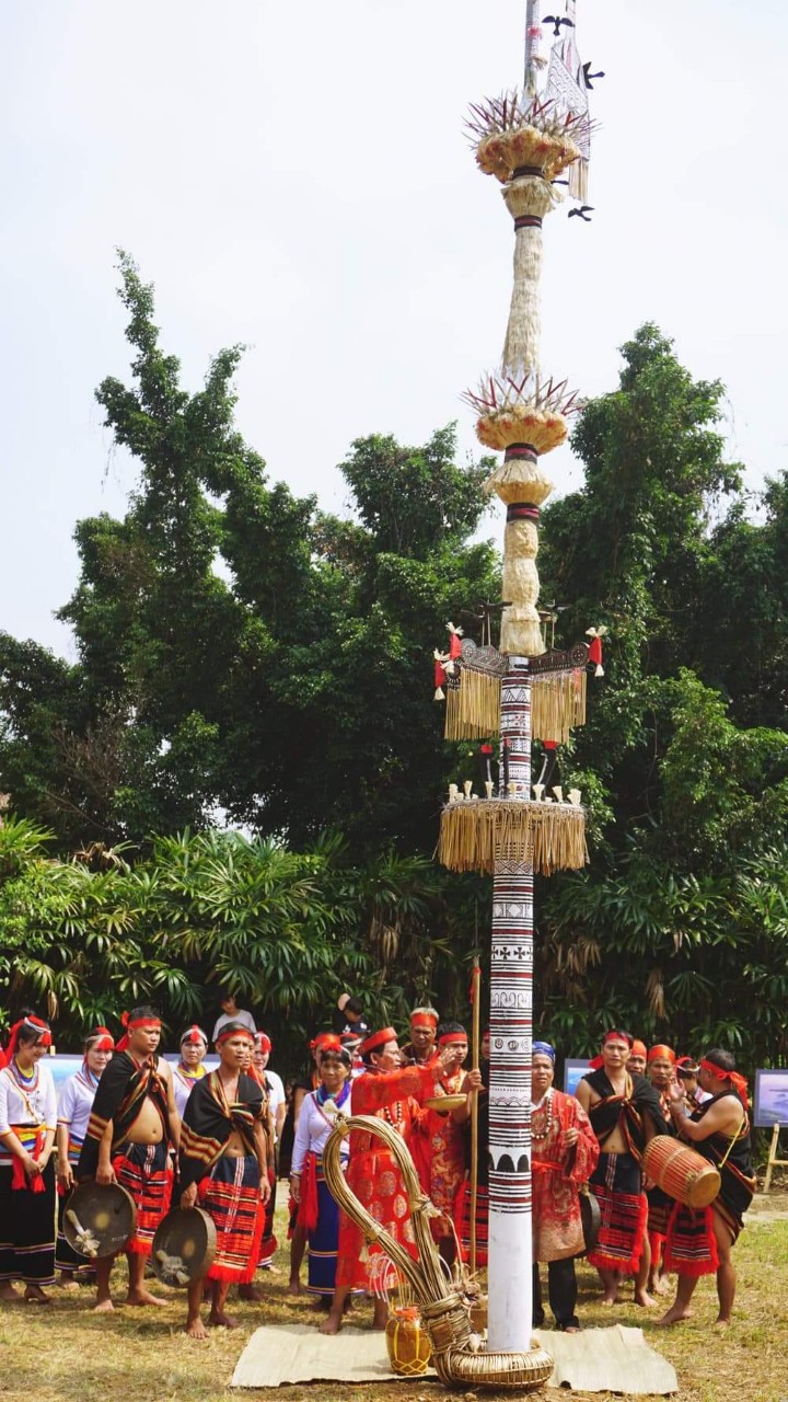 nghe thuat trang tri cay neu cua nguoi cor tro thanh di san van hoa phi vat the hinh 4