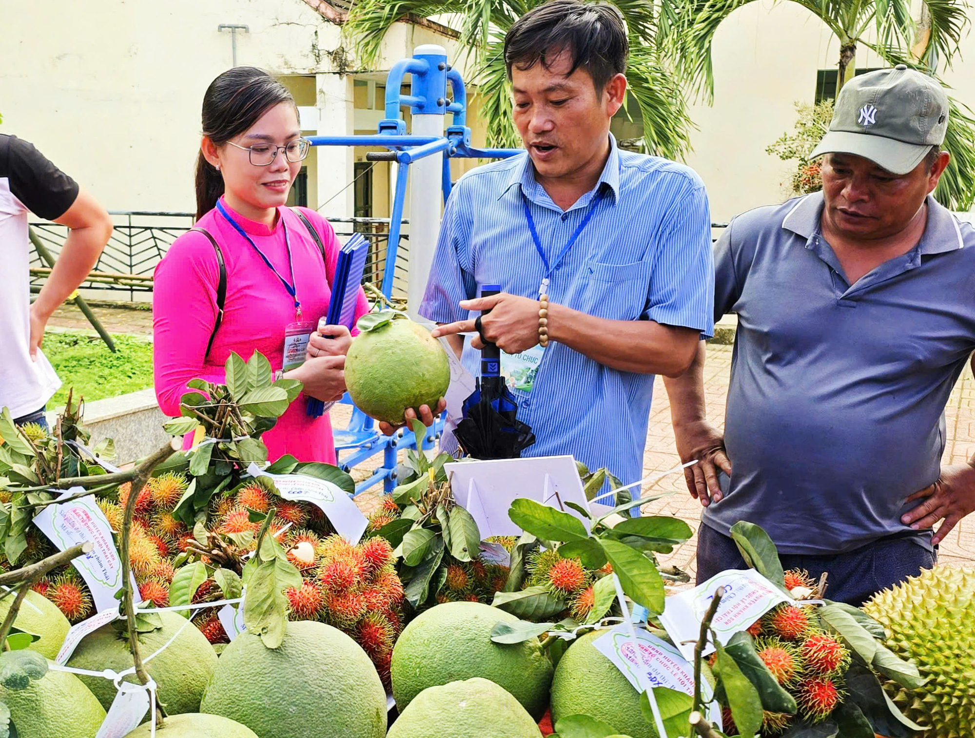 Ban giám khảo chấm điểm cho những cặp bưởi - Ảnh: TRẦN HOÀI