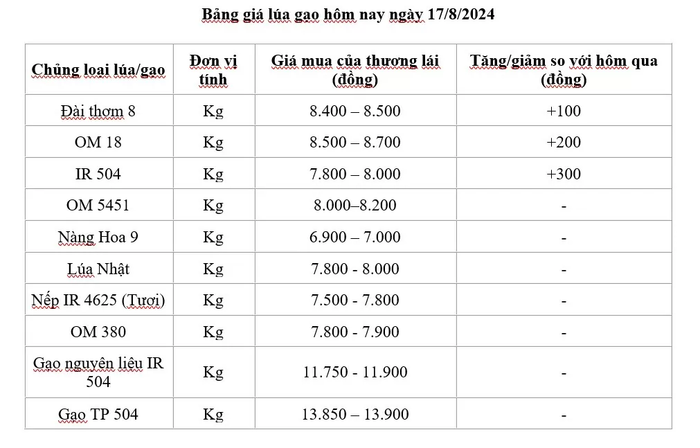 Giá lúa gạo hôm nay 17/8/2024: