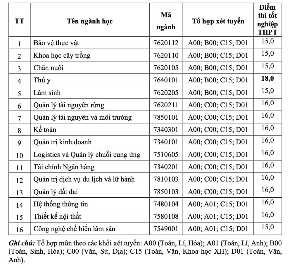 Điểm chuẩn của Trường ĐH Công nghiệp TP HCM tăng- Ảnh 6.