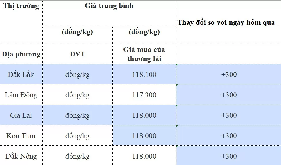 Dự báo giá cà phê 19/8/2024: Tăng nhẹ chưa đủ vực dậy giá cà phê trong nước đi lên, vì sao?