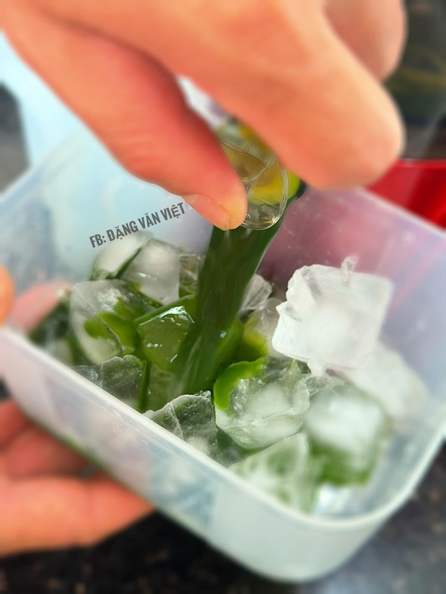 El padre 8x comparte cómo hacer judías verdes y centella asiática con leche de coco sin el olor a pescado pero conservando el hermoso color verde, delicioso y cremoso, será adicto después de solo una bebida - Foto 6. Ông bố 8x chia sẻ cách làm đậu xanh rau má cốt dừa không bị tanh mà vẫn giữ màu xanh đẹp mắt, ngon ngậy, uống một lần là mê ngay - Ảnh 6.