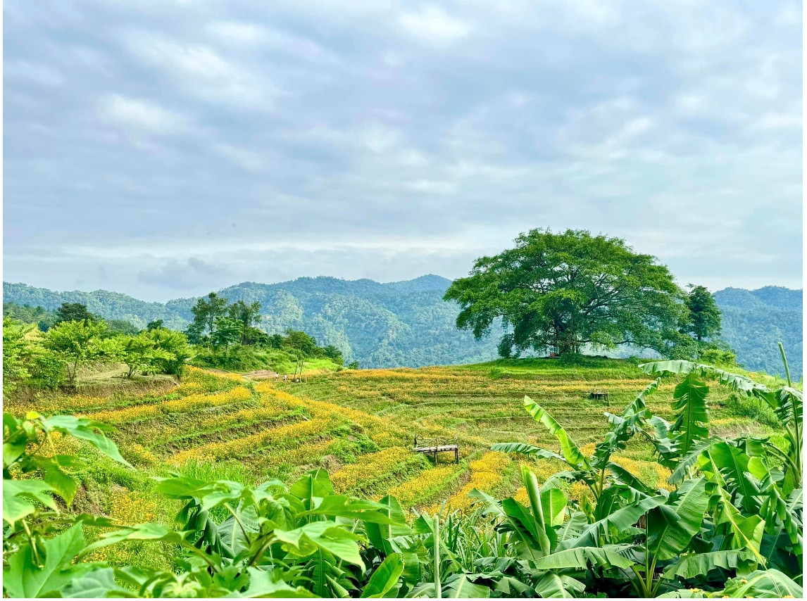 ve xom mung hoa minh trong buc tranh thanh binh da sac mau hinh 2