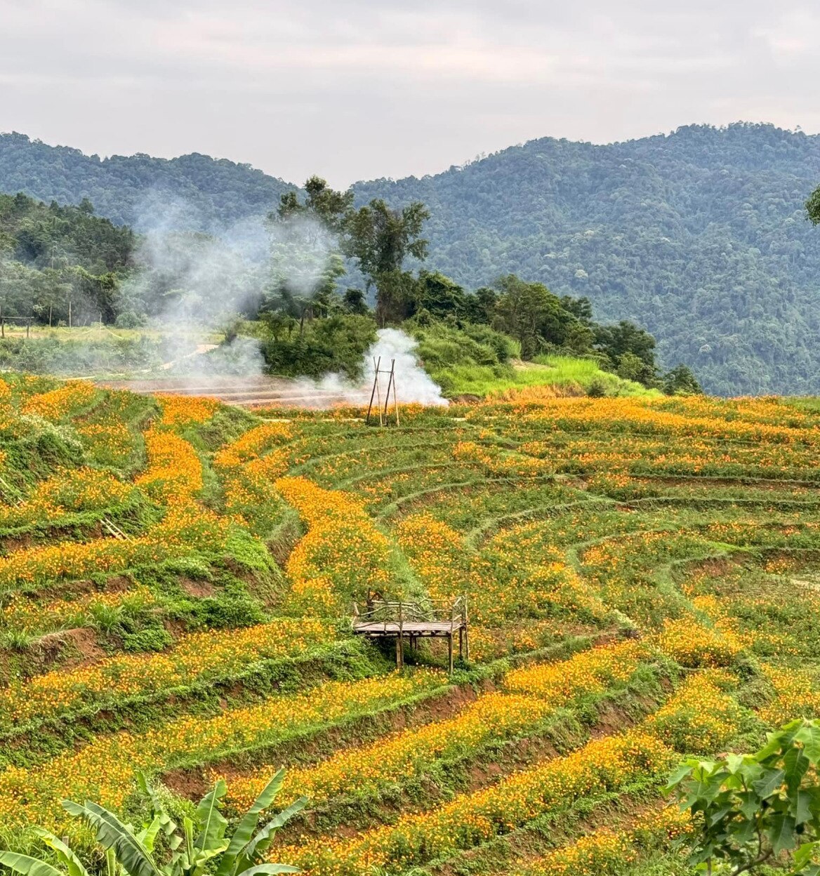 ve xom mung hoa minh trong buc tranh thanh binh da sac mau hinh 3