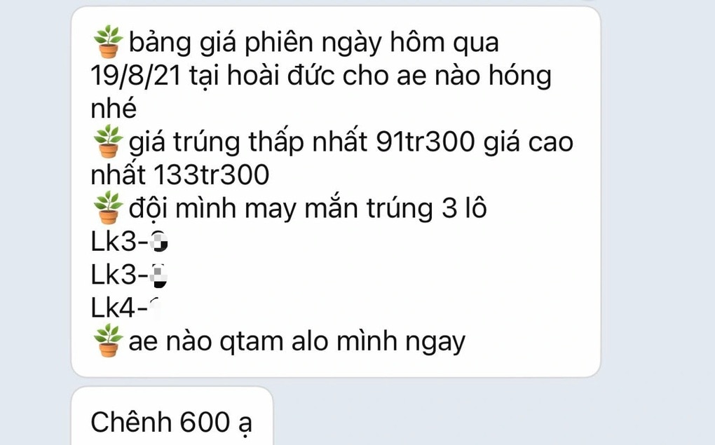 Xuyên đêm đấu giá đất huyện Hoài Đức: Rao bán chênh luôn 800 triệu đồng - 2