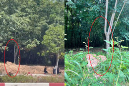 מדעי הפחם bd.jpg