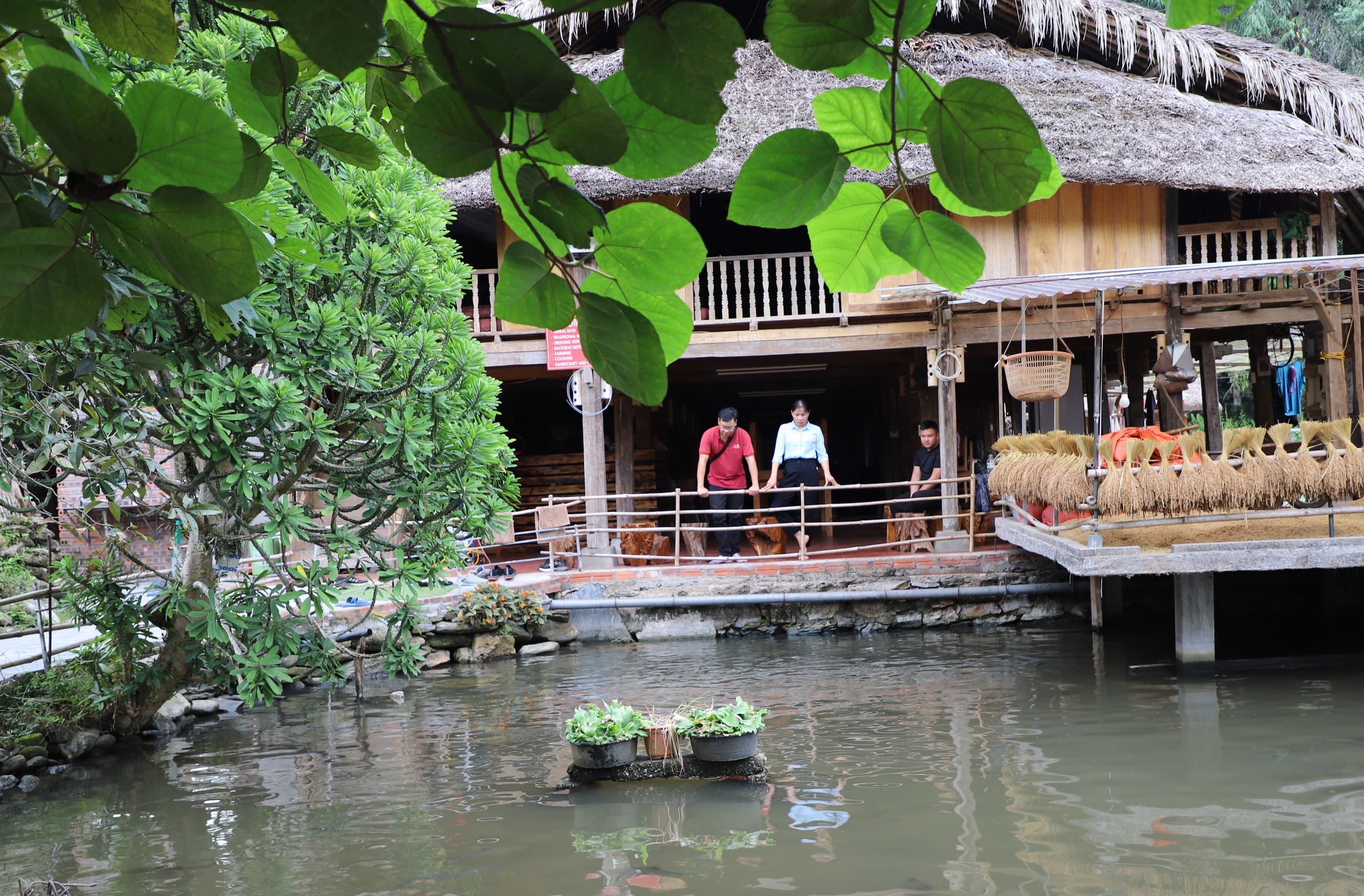 Một ngôi làng sở hữu bức tranh thiên nhiên trong lành êm ả, thanh bình ở Hà Giang - Ảnh 3.