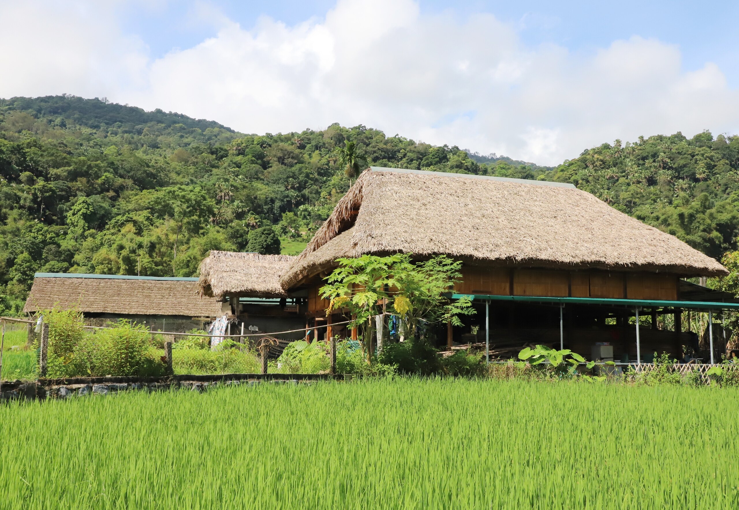 Một ngôi làng sở hữu bức tranh thiên nhiên trong lành êm ả, thanh bình ở Hà Giang - Ảnh 4.