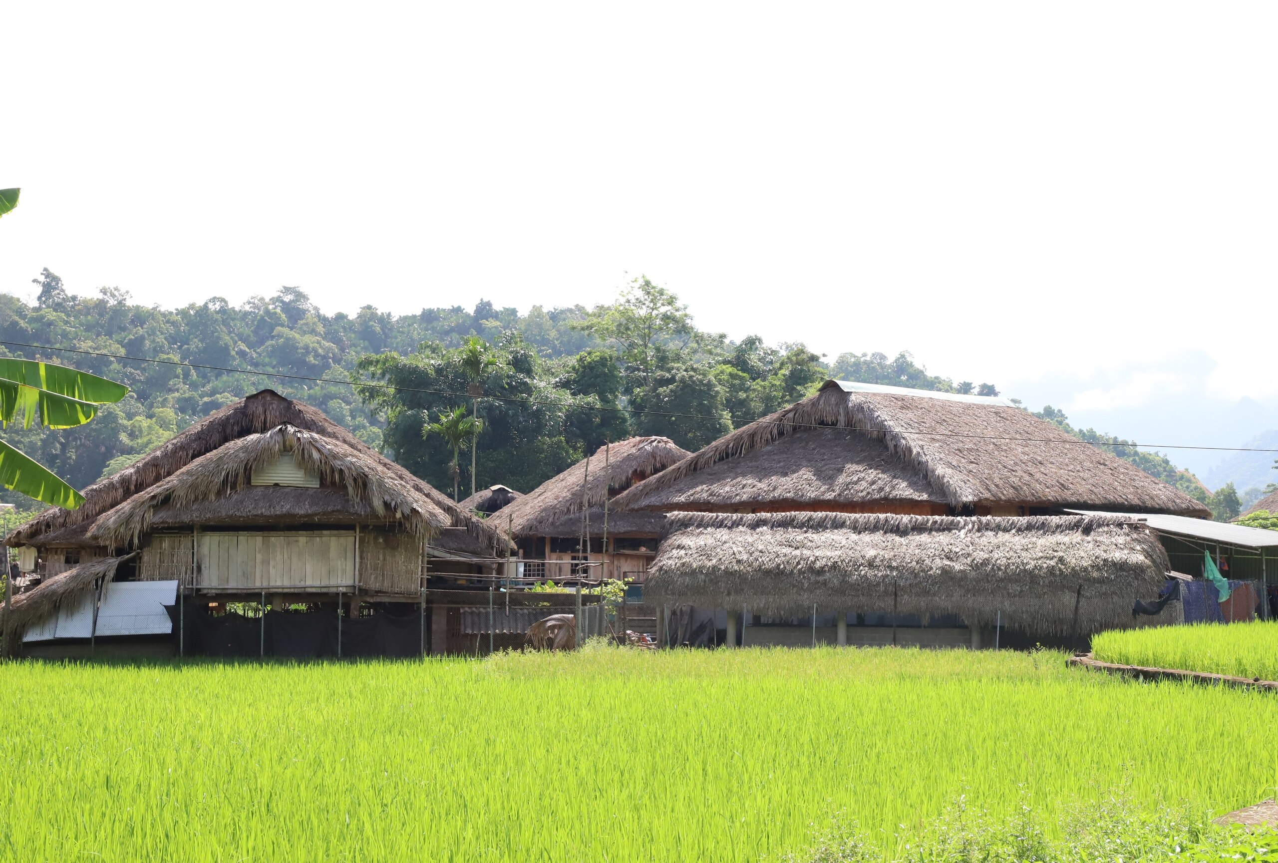 Một ngôi làng sở hữu bức tranh thiên nhiên trong lành êm ả, thanh bình ở Hà Giang - Ảnh 6.