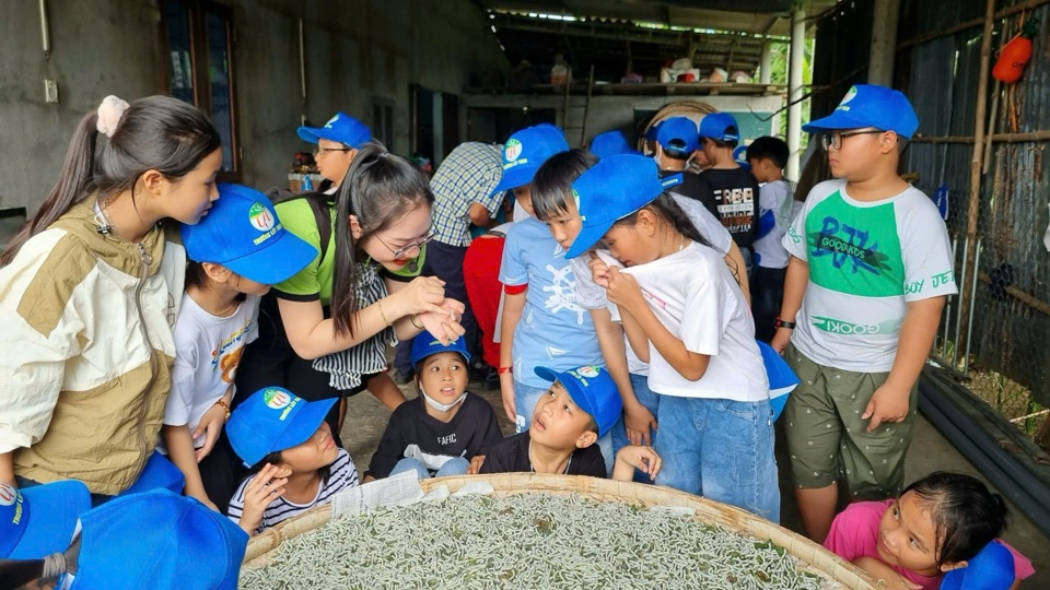 Các em học sinh tìm hiểu về nghề trồng dâu, nuôi tằm.