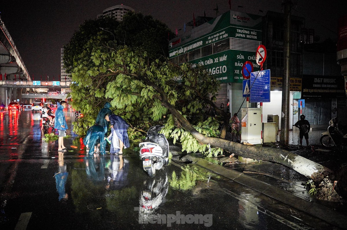 Hàng loạt cây đổ, bật gốc sau cơn mưa lớn tại Hà Nội ảnh 6