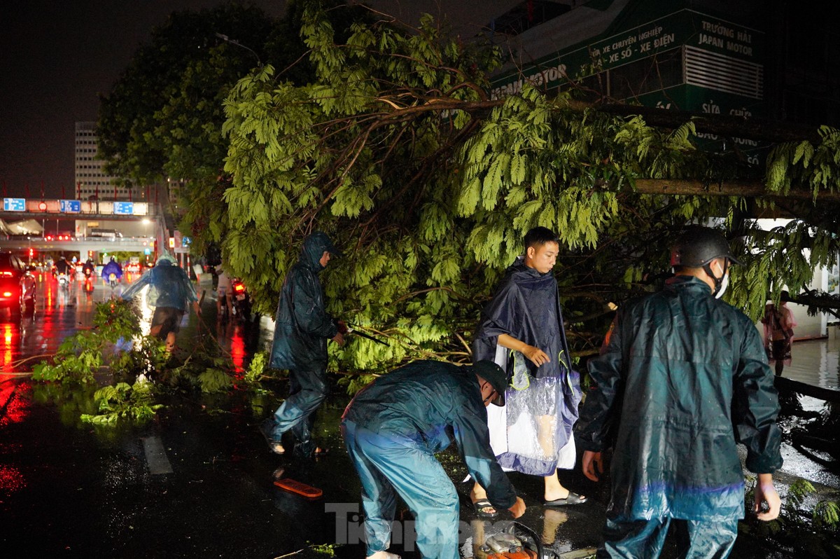 Hàng loạt cây đổ, bật gốc sau cơn mưa lớn tại Hà Nội ảnh 8