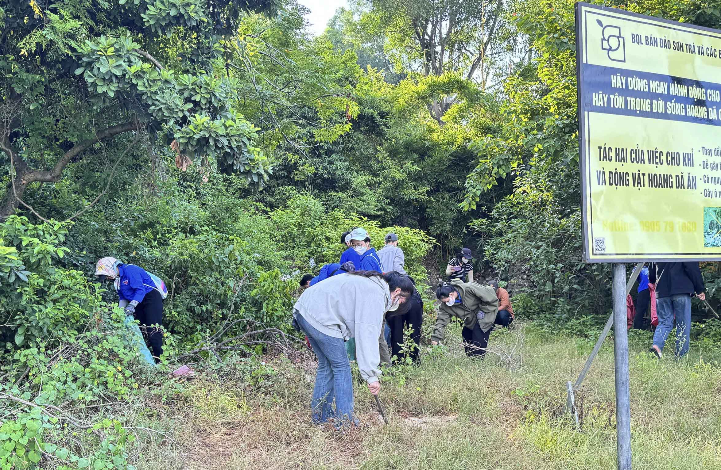 Hàng trăm tình nguyện viên tham gia nhặt rác bảo vệ môi trường và rạn san hô bán đảo Sơn Trà - Ảnh 2.